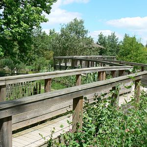 Le Pal - South american plain exhibit