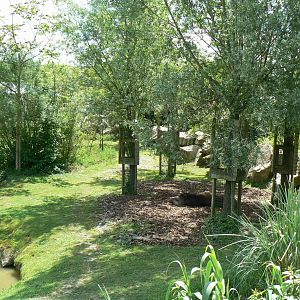 Le Pal - South american plain exhibit