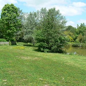 Le Pal - South american plain exhibit