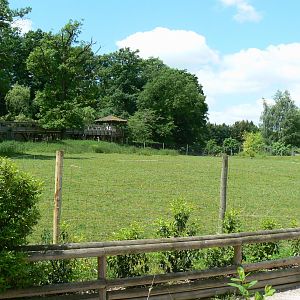 Le Pal - Deers woods