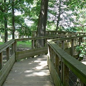 Le Pal - Deers woods