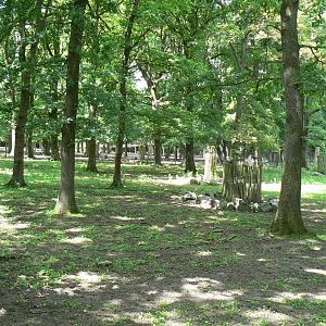 Le Pal - Deers woods