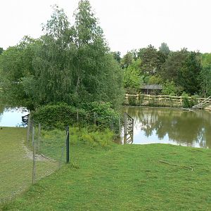 Le Pal - Deers woods