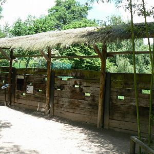 Le Pal - Grey wolves exhibit
