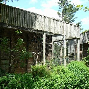 Le Pal - Bateleur eagles aviary