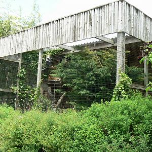 Le Pal - Palm-nut vultures aviary