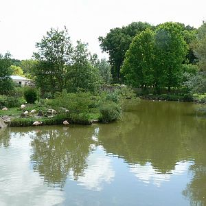 Le Pal - Chilean flamingos pond
