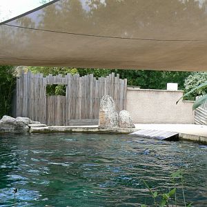 Le Pal - South american sea lions second pool