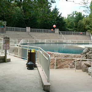 Le Pal - South american sea lions theatre