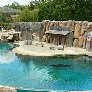 Le Pal - South american sea lions theatre