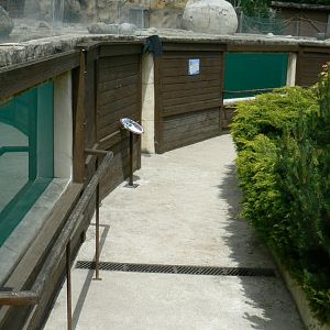Le Pal - African penguins exhibit