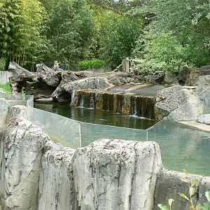 Le Pal - Small-clawed otters exhibit
