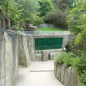 Le Pal - Small-clawed otters exhibit