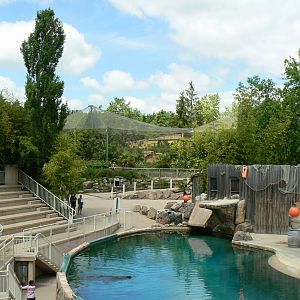 Le Pal - Sea lion pool with south american aviary back ward