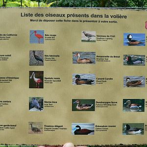 Le Pal - South american aviary species list panel