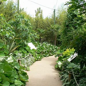 Le Pal - South american aviary