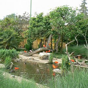 Le Pal - South american aviary