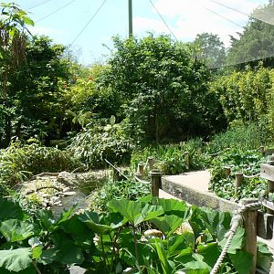 Le Pal - South american aviary