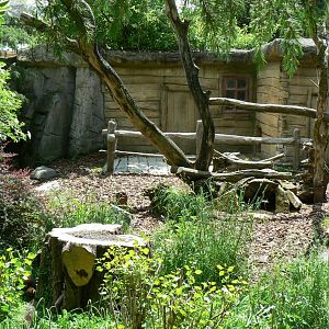Le Pal - Bush dogs exhibit