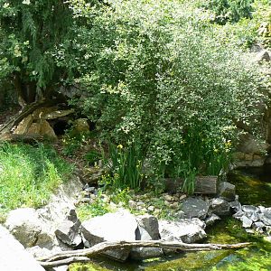 Le Pal - Raccons exhibit