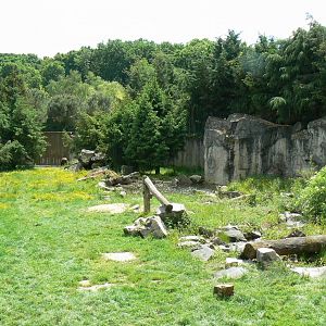 Le Pal - Brown bears enclosure
