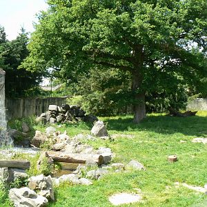 Le Pal - Brown bears enclosure