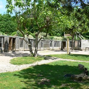 Le Pal - Birds show holding facility
