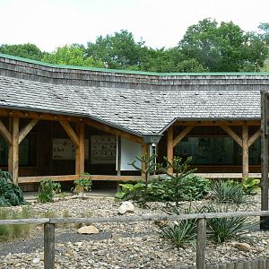 Le Pal - Birds nursery