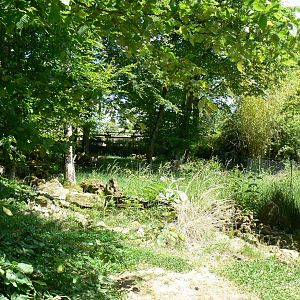 Le Pal - Australian shelducks, demoiselle cranes and indian peafowls enclosure