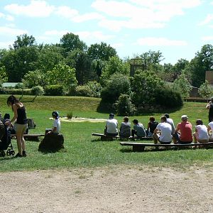 Le Pal - Bird show theatre