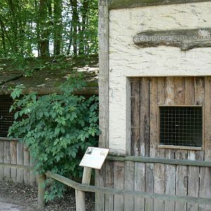 Le Pal - Barn owls exhibit