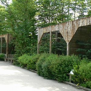 Le Pal - Spectacled owls, eurasian eagle owls and snowy owls aviaries