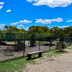 Tapir/Mara/Capybara Enclosure