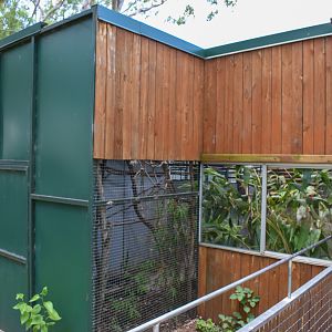 Emperor Tamarin Enclosure