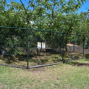New Tortoise Enclosure