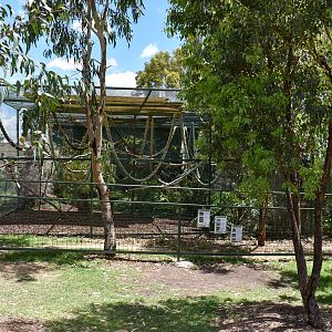 Australian/Asian Bird Aviary