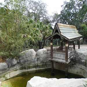 Oct. 2020 - Asian Gardens - Malayan Tapir Exhibit