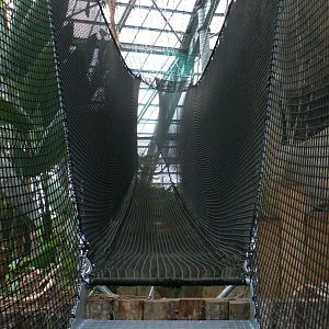 Planète Crocodiles - Aerial course