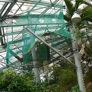 Planète Crocodiles - Aerial course