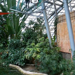 Planète Crocodiles - Visitors above Nile crocs