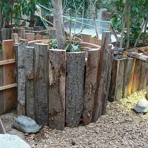 Planète Crocodiles - Red-footed tortoises exhibit