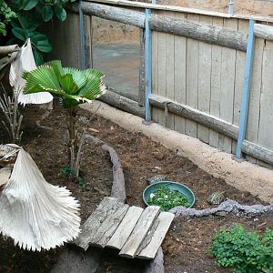 Planète Crocodiles - Hermann's and greek tortoises exhibit