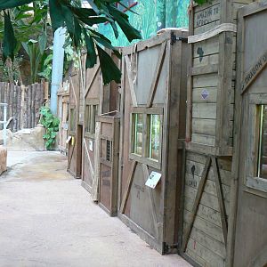 Planète Crocodiles - Terrariums wall for day geckos and green tree pythons