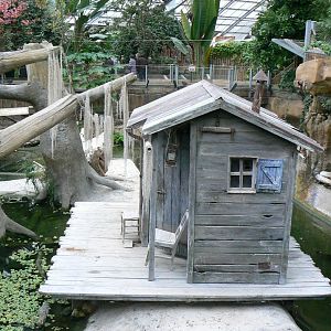 Planète Crocodiles - Mississippi alligators exhibit