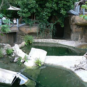 Planète Crocodiles - Mississippi alligators exhibit
