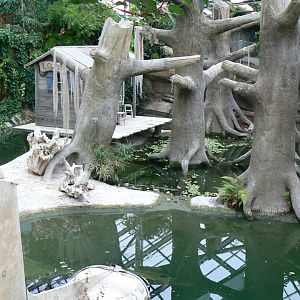 Planète Crocodiles - Mississippi alligators exhibit