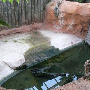 Planète Crocodiles - Saltwater crocodiles second exhibit