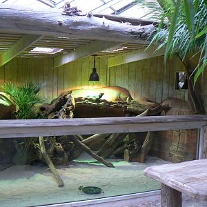 Planète Crocodiles - Rhinoceros iguanas exhibit