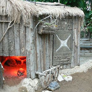 Planète Crocodiles - Radiated tortoises, Aldabra's giant tortoises and panther chameleon exhibit