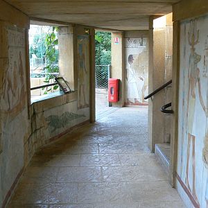 Planète Crocodiles - Visitors path and theming